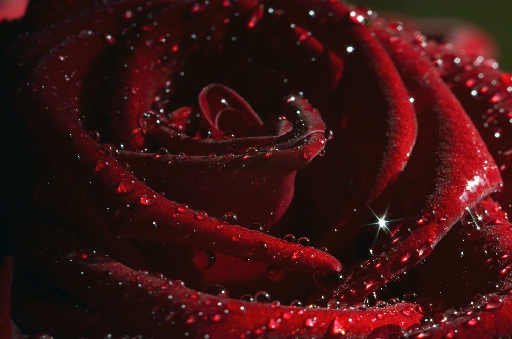 Photograph by Marina