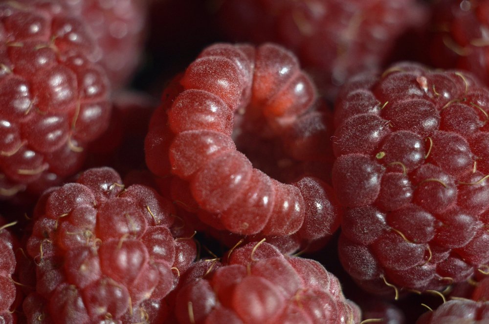 Photograph by Marina