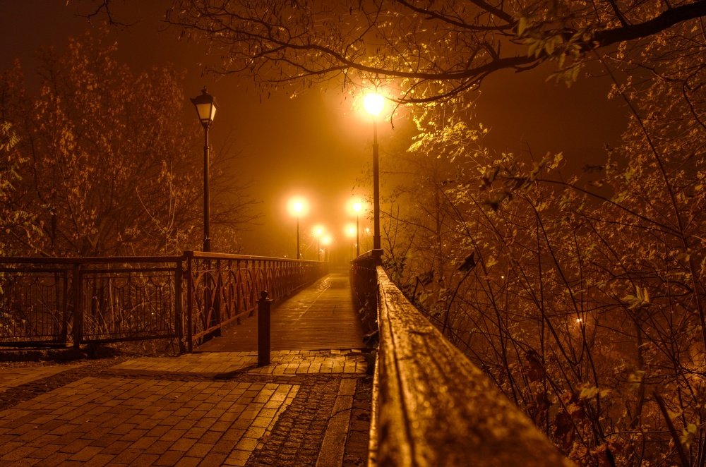 Photograph by Алексей Фастовец