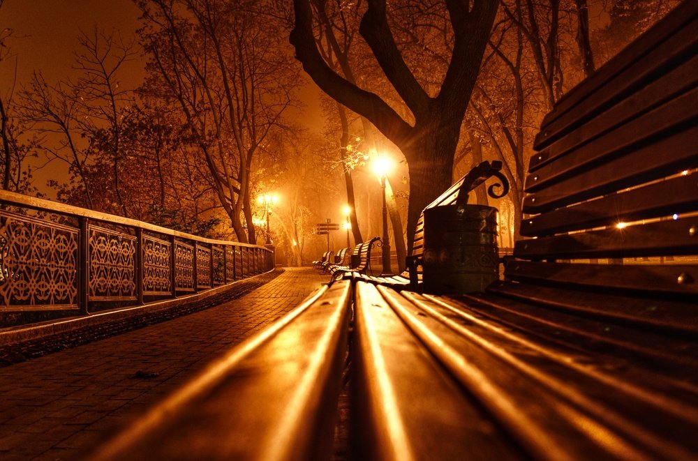 Photograph by Алексей Фастовец