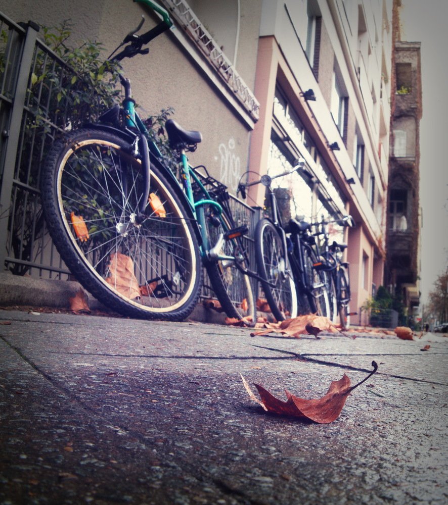 Photograph by 