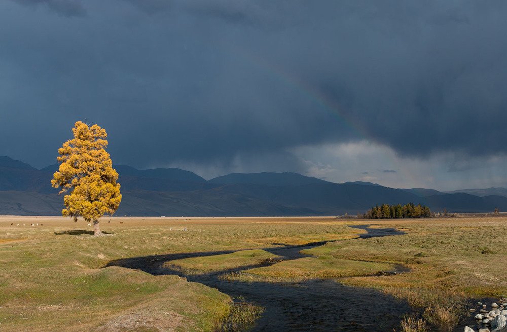 Photograph by Сергей