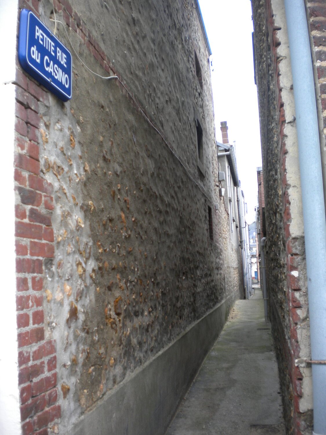 Photo #3784855