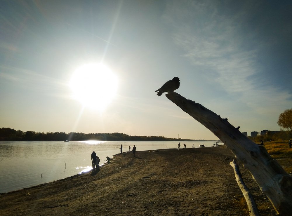 Photograph by Сергей Захаров