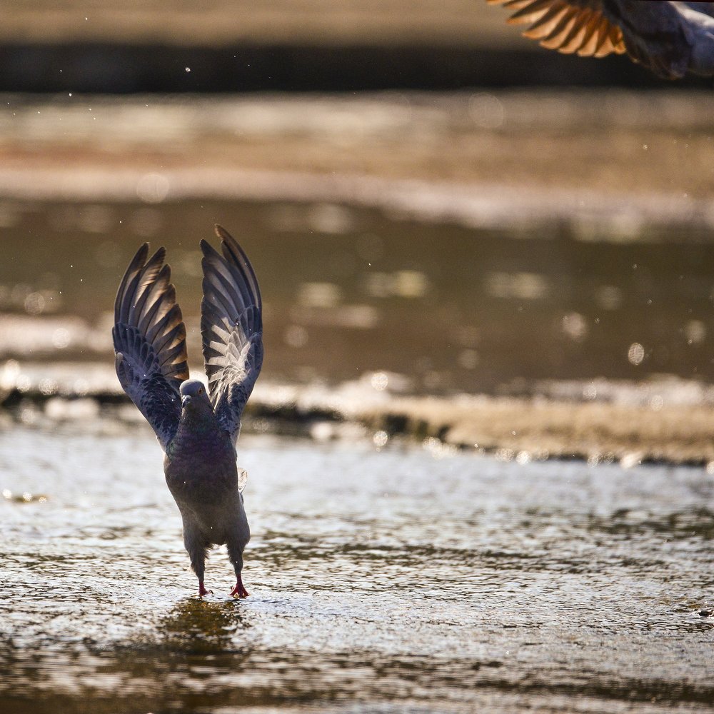 Photograph by Серик Есентаев