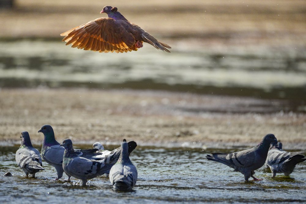 Photograph by Серик Есентаев