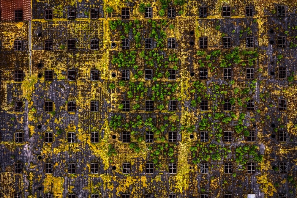 Photograph by Даниил