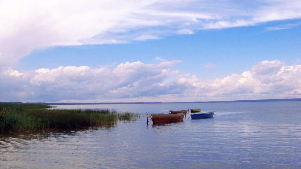 Photograph by Евгения Матвеец