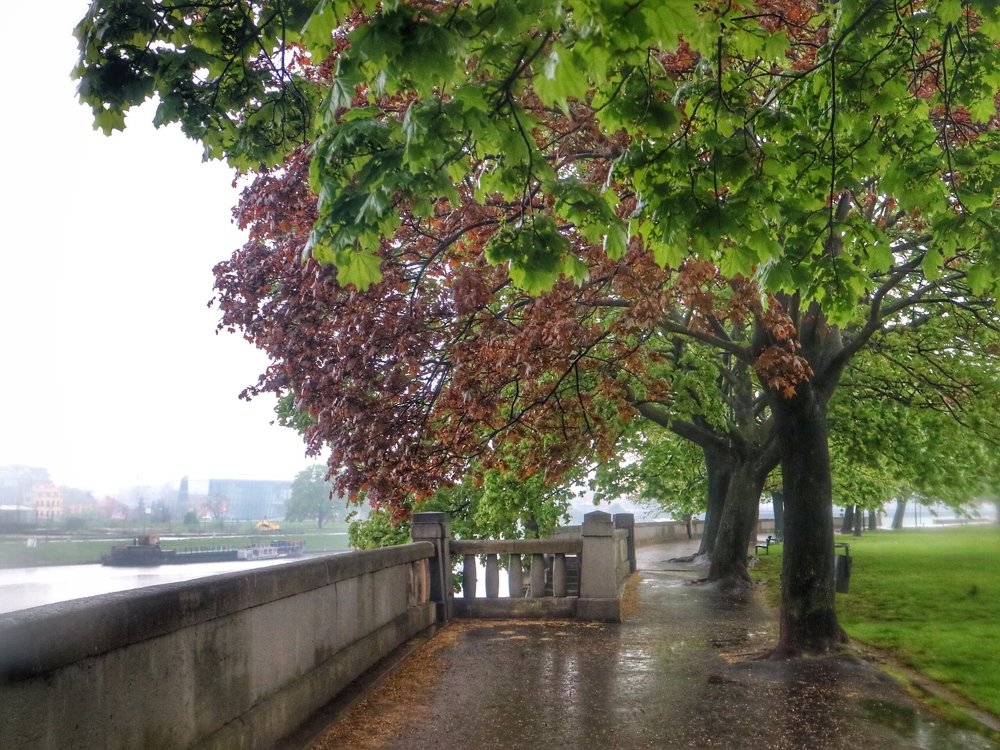 Холодный день