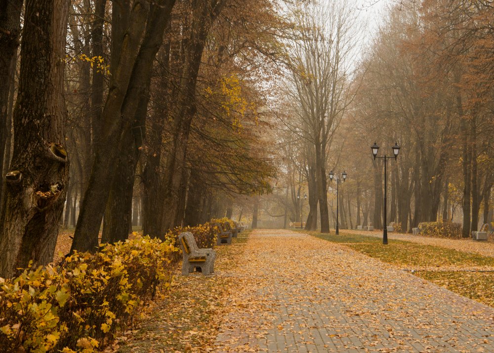 Photograph by Алексей Крукович