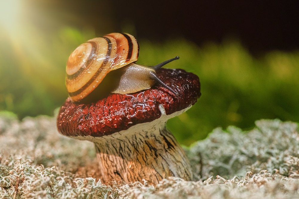 Не торопясь