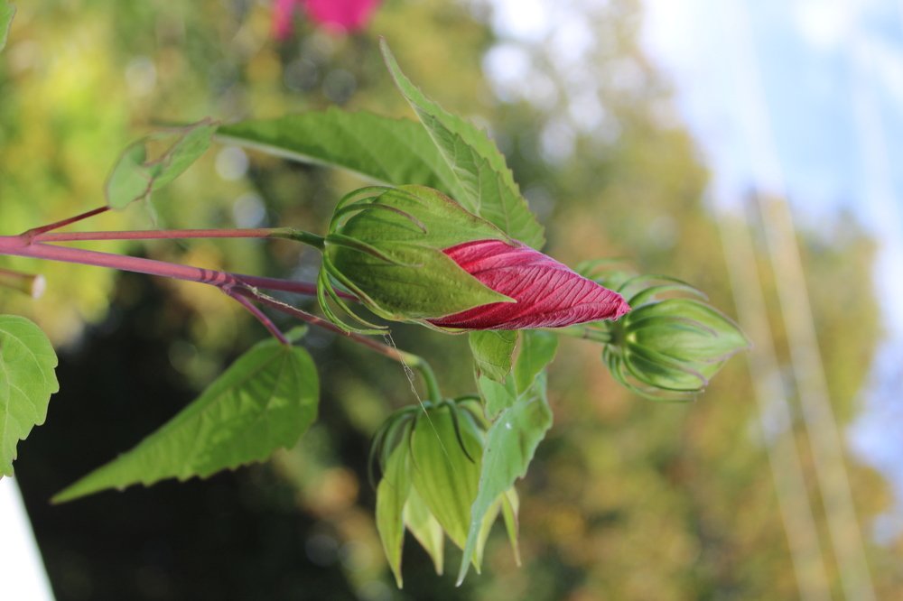 Photograph by Николай Немчанинов
