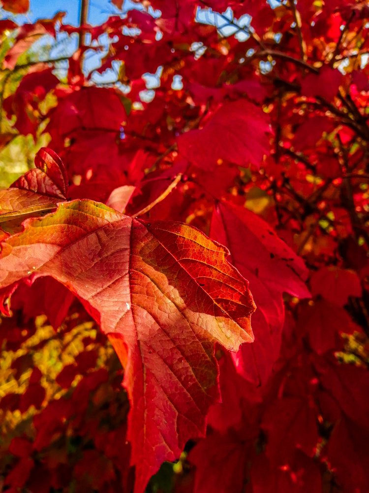 Photograph by Александр Носевич