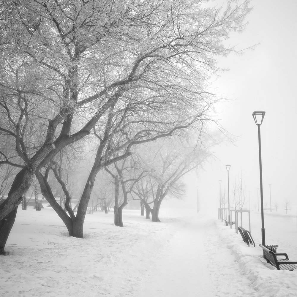 Photograph by Алексей Родак