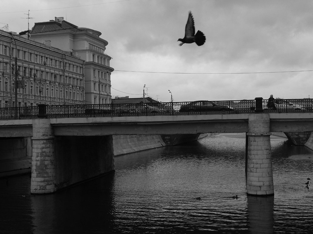 Photograph by Василий Чекорин