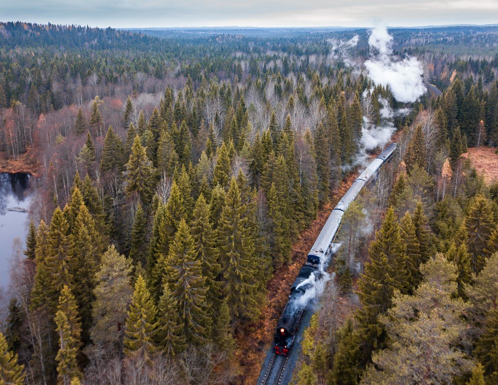 Photograph by Алексей Аничков