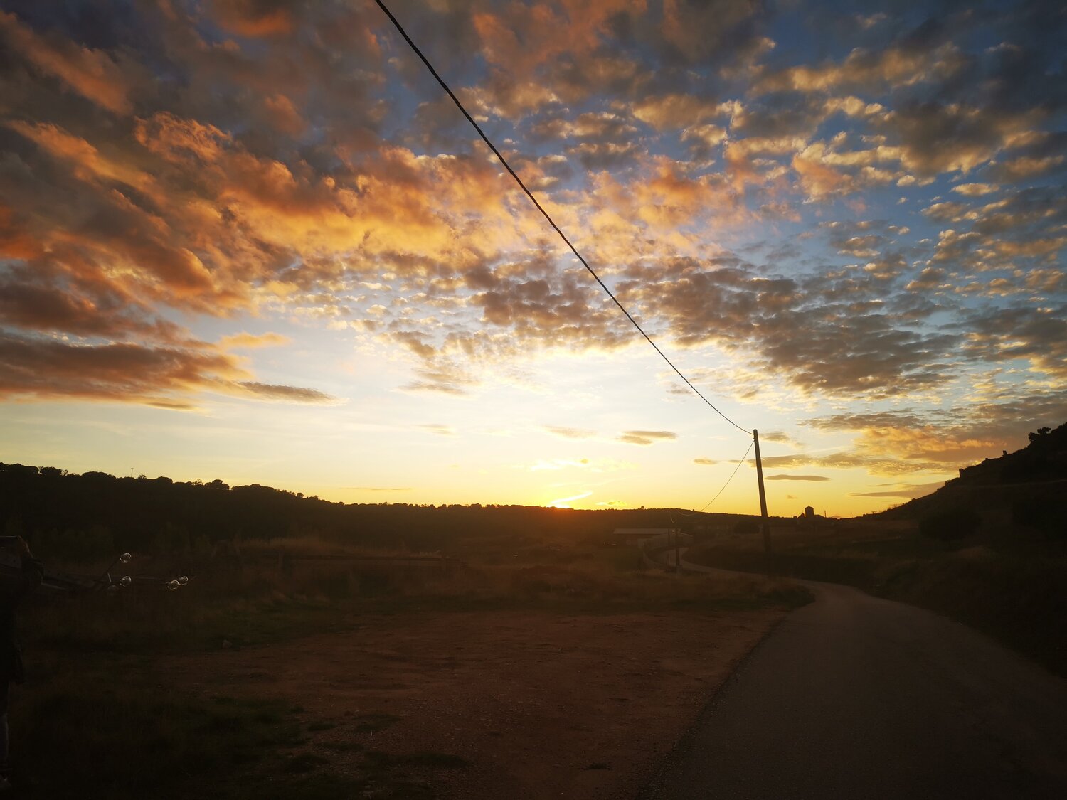 Photo #3785491