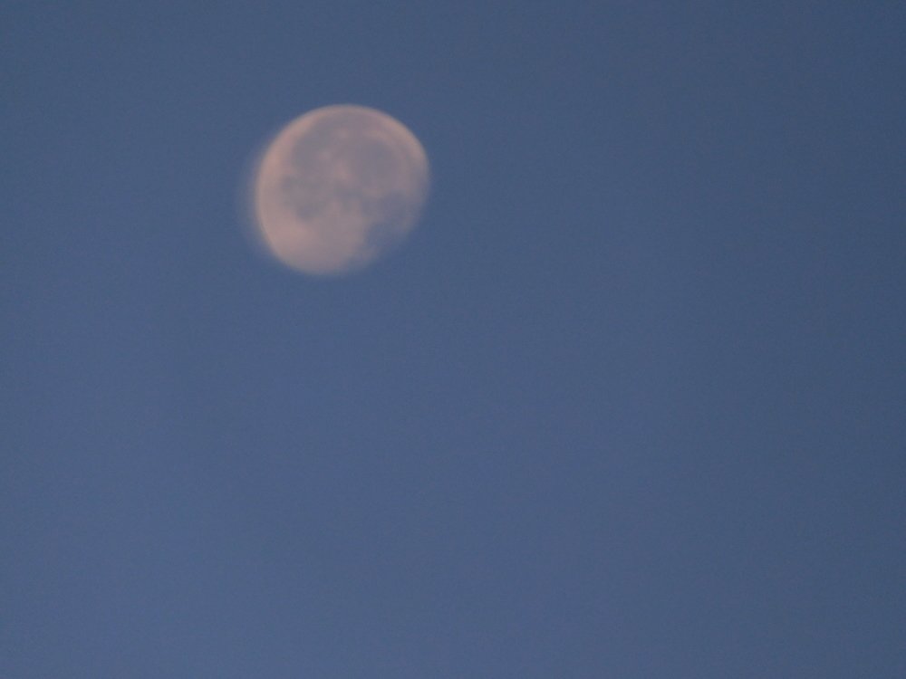 Photograph by Алмерия Монева