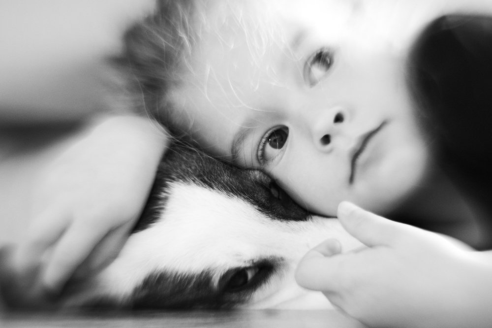 Photograph by Георгий Шилов