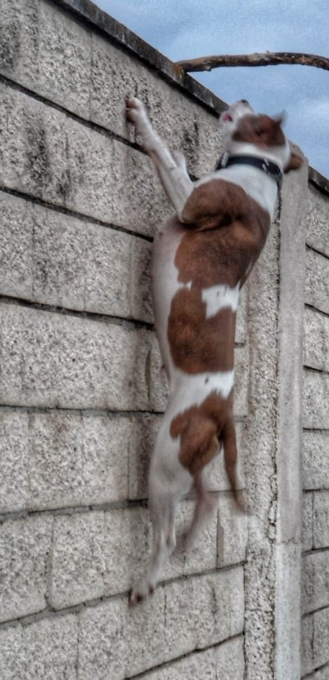 Photo #3785544
