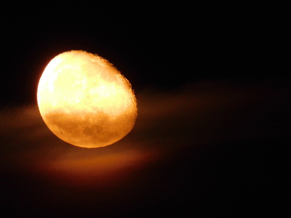 Photograph by Алмерия Монева