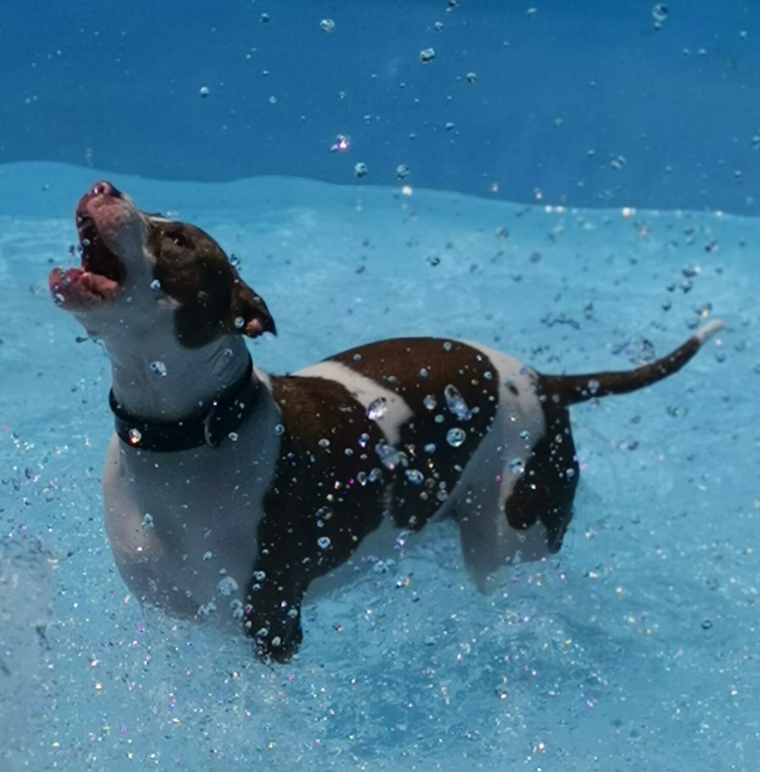 Photo #3785550