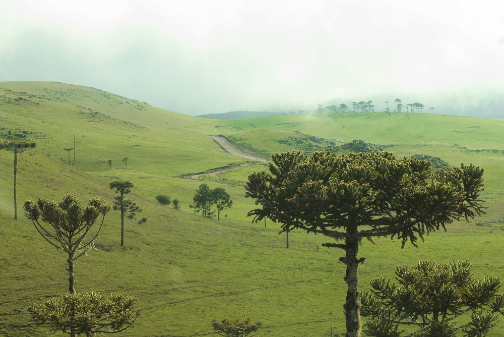 Photograph by Evelyne Rodrigues