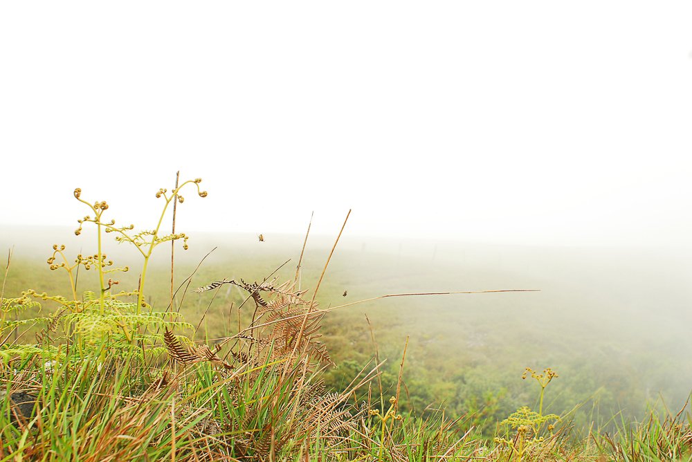 Photograph by Evelyne Rodrigues