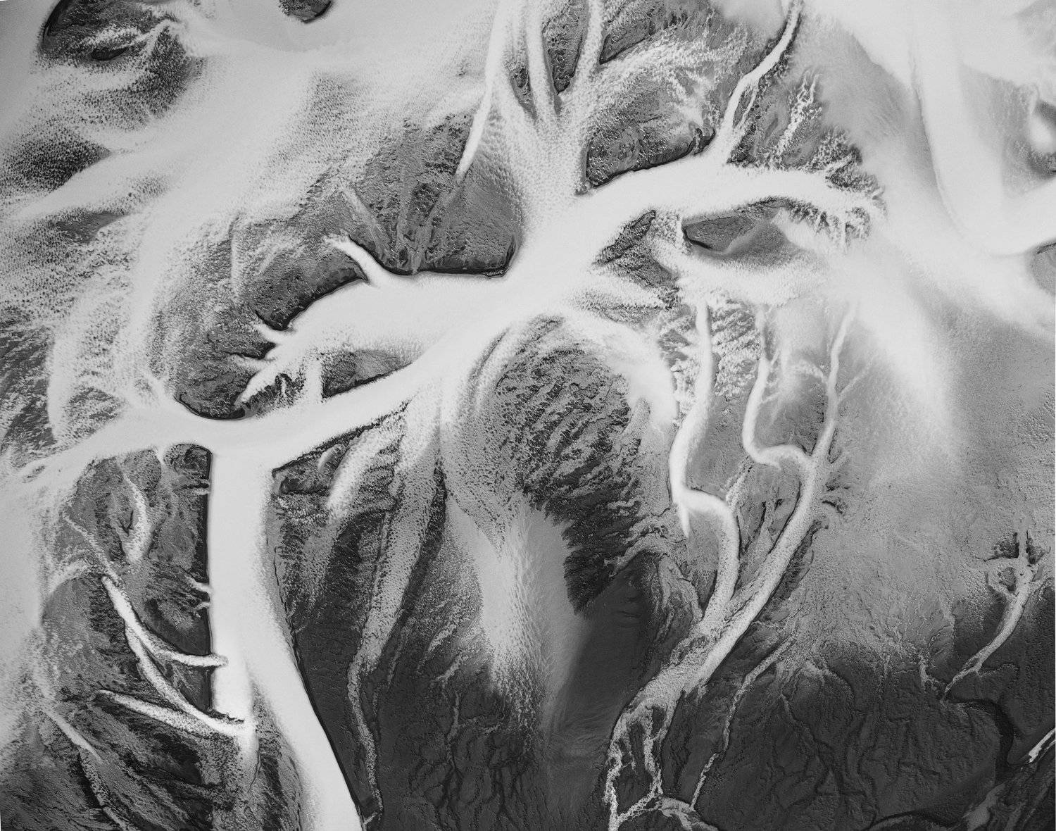 Фотография #3785602