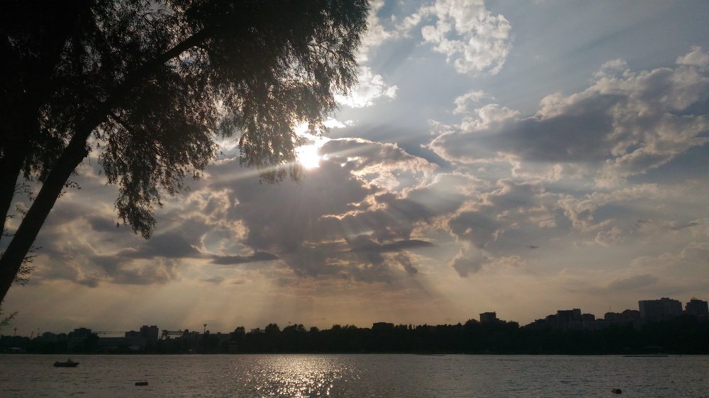 Photo #3785688