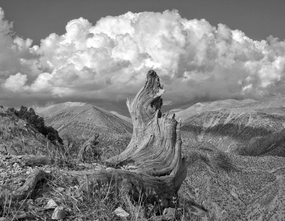 Photograph by Mazhar Khalkhal