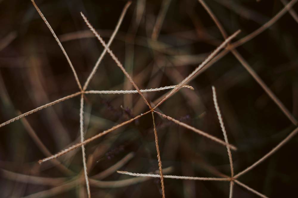 Фотография автора Summerlin