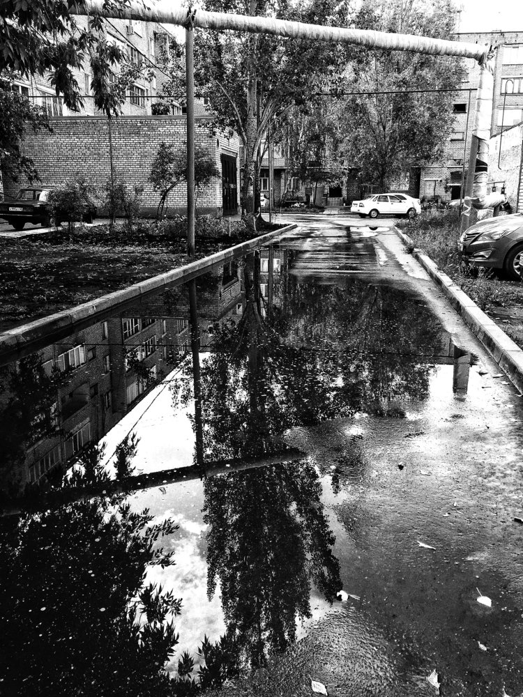 Photograph by Ирина Курочкина