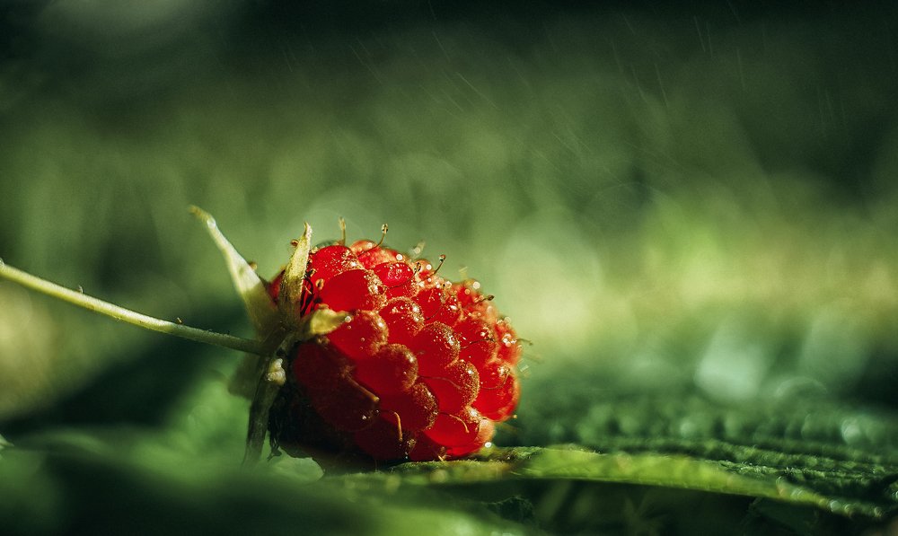 Photograph by Рут Андрей