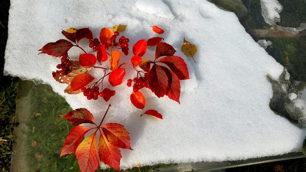 Photograph by Борис Каширин