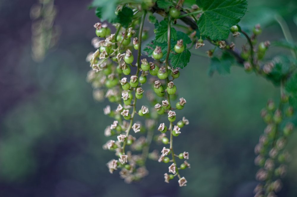 Photograph by Александр Савченко