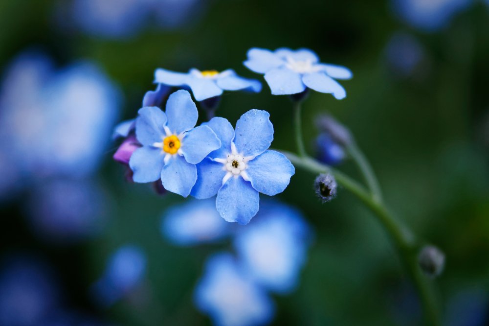 Photograph by Александр Савченко