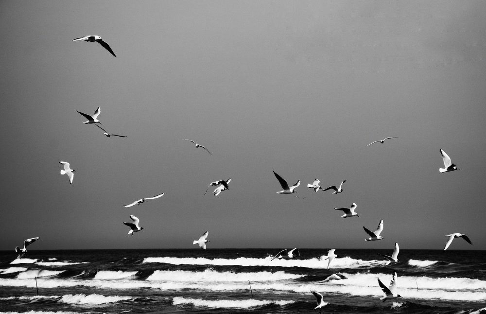 Photograph by Mohammad Hadi Riahi