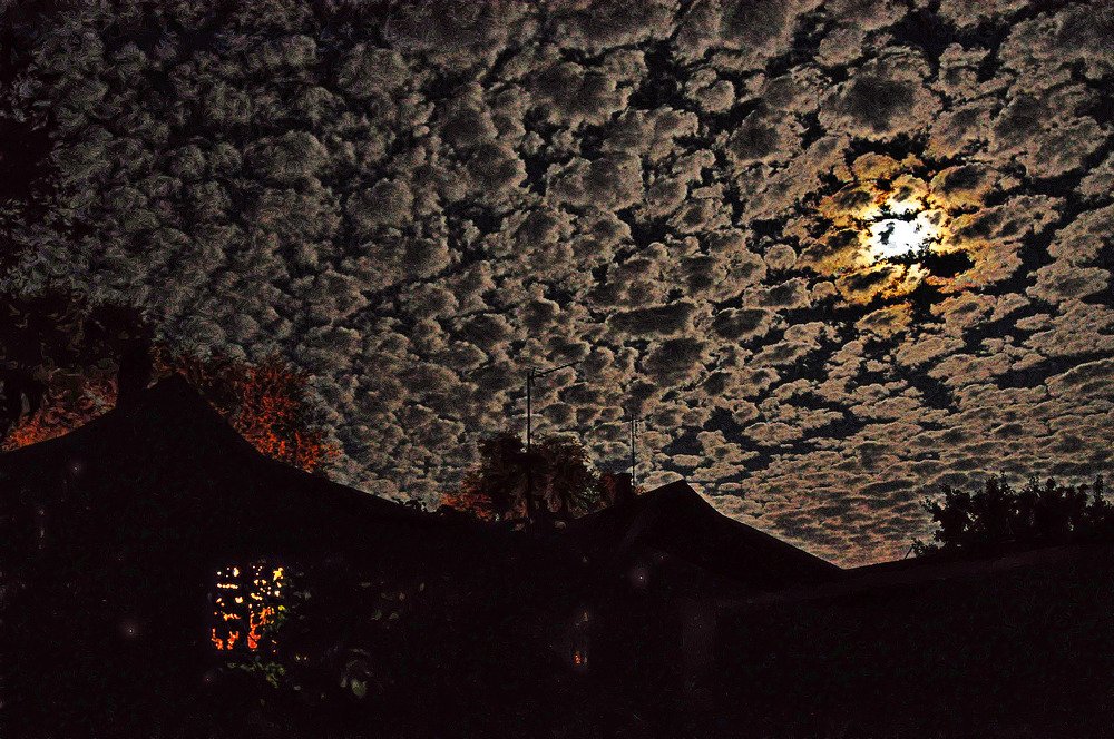 Photograph by Олег Радионов