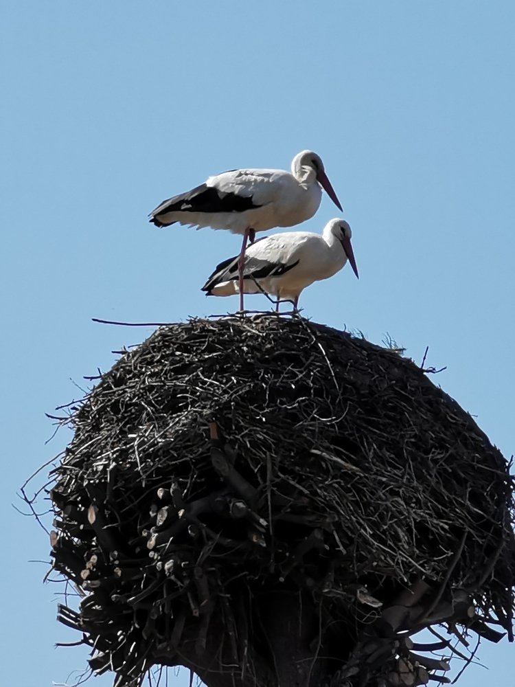 Photograph by Рутковская Жанна