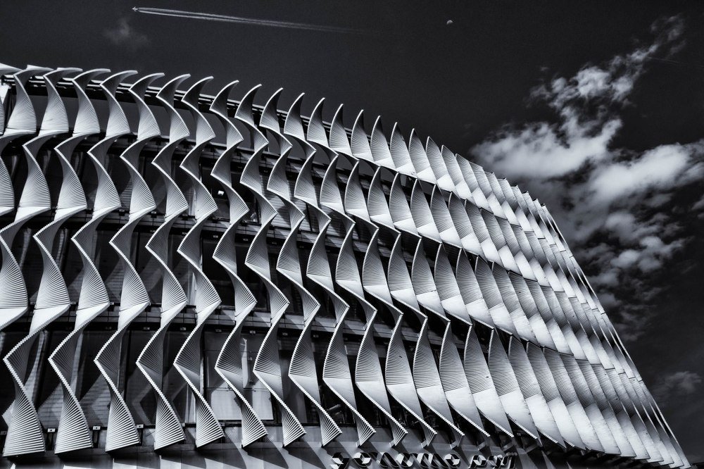 Photograph by amir ali navadeh shahla