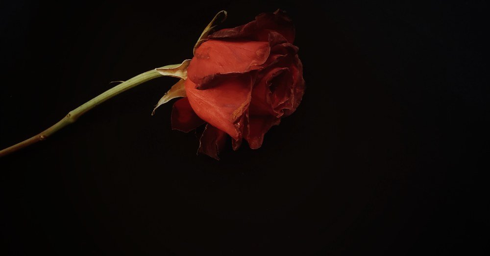 Photograph by Maryam Bakhit