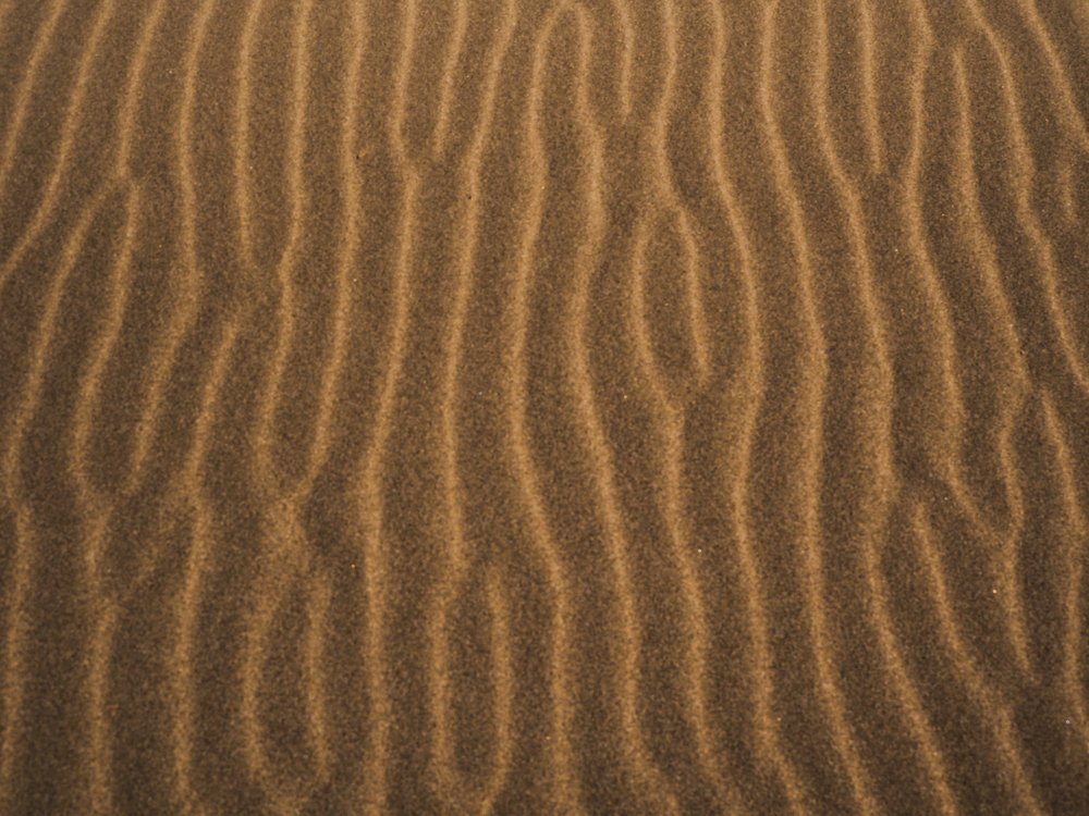 Фотография автора Olena Vorotyntseva