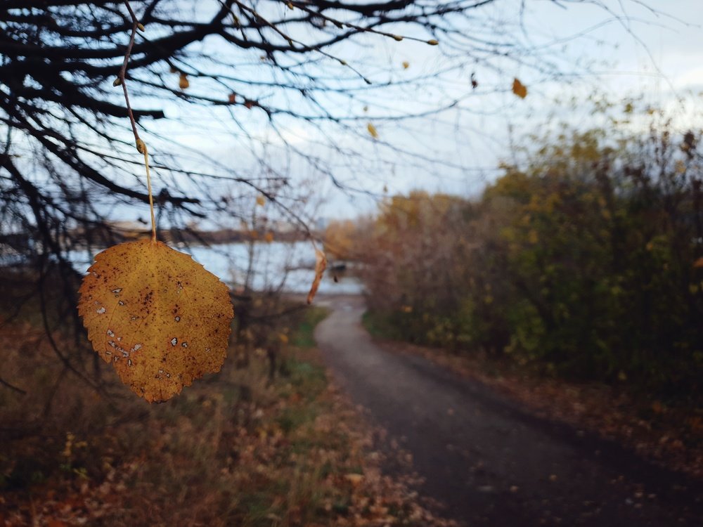 Photograph by Владимир Бакалов
