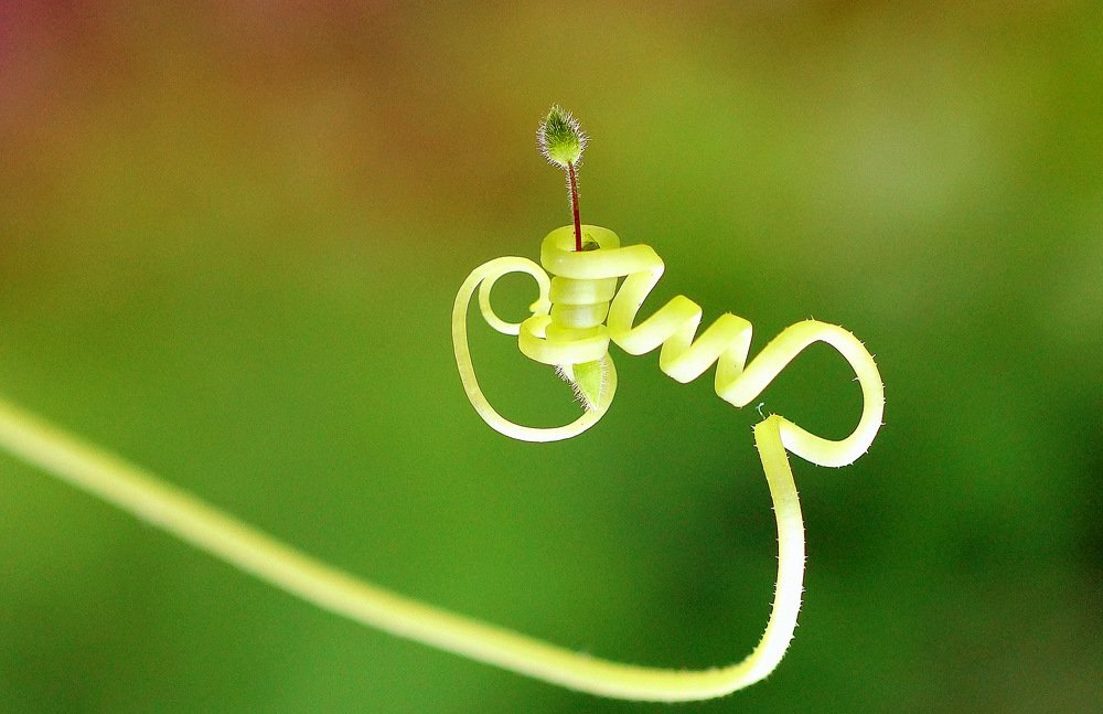 Photograph by Виктор Игнатенко.