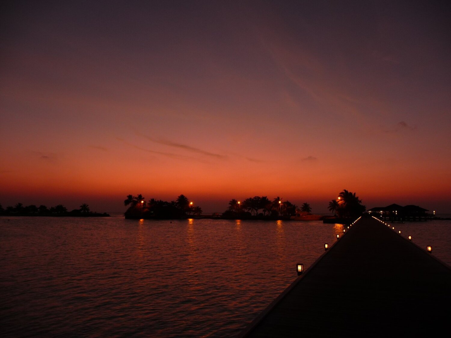 Photo #3786148