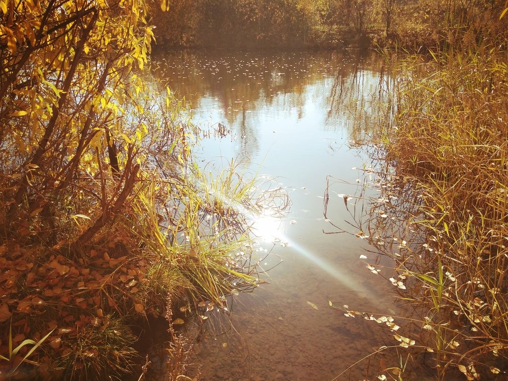 Photograph by Дмитрий