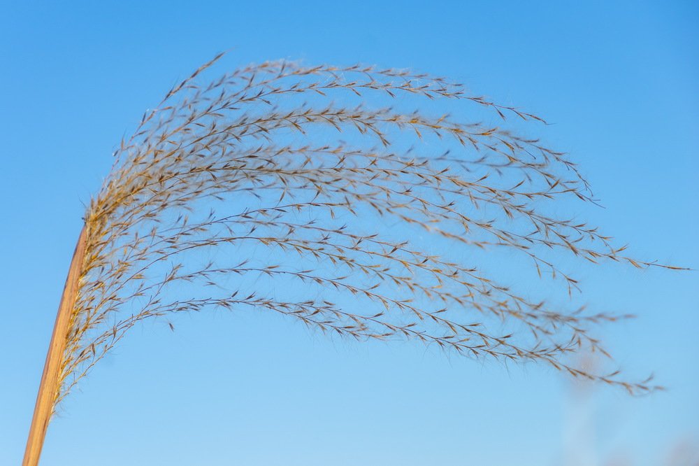 Photograph by Ирина Юркова