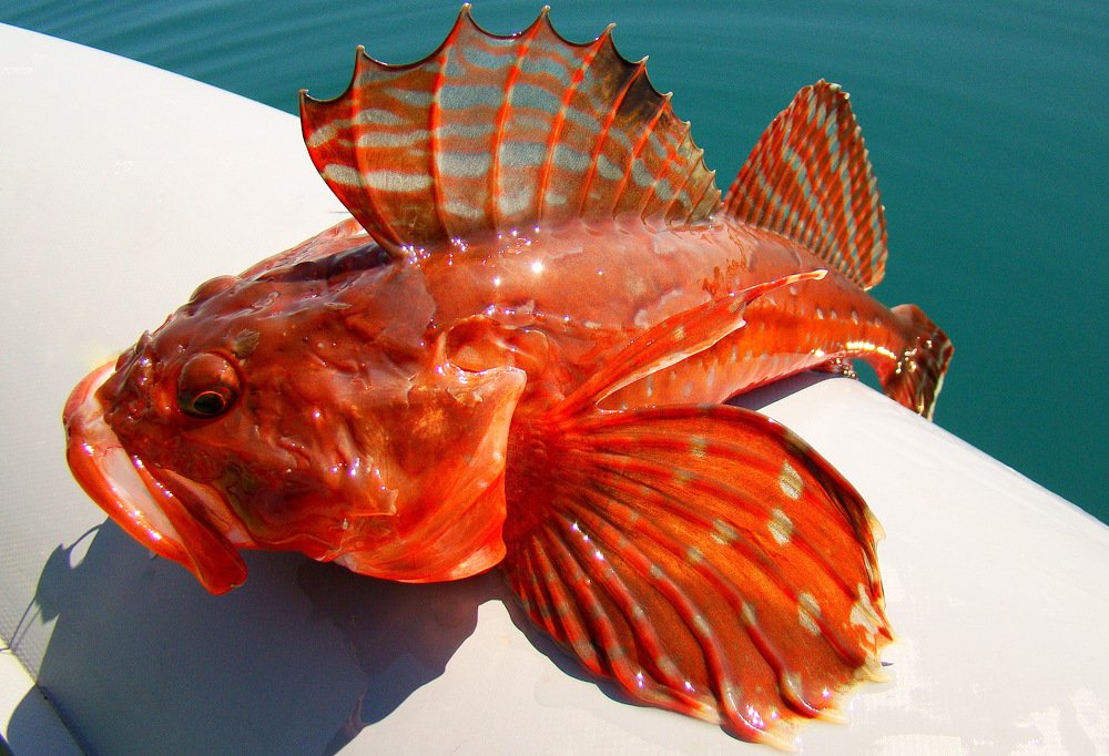 Photograph by Виктор Игнатенко.