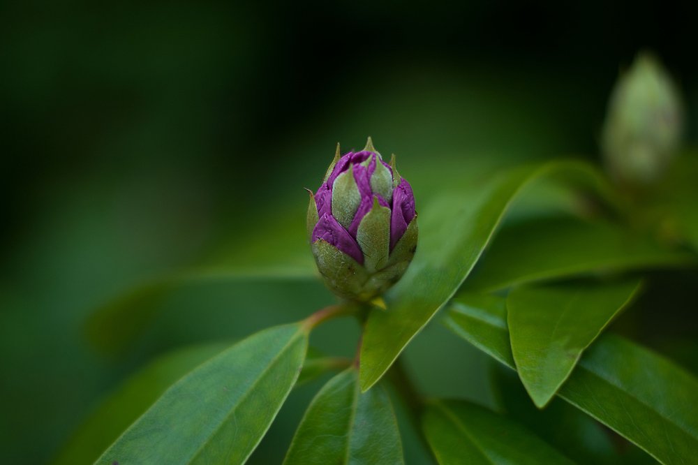 Photograph by Malgorzata Pomietlo